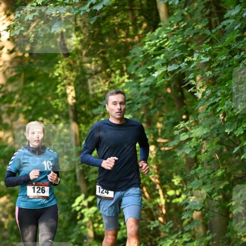 06.10.2024 - Bramfelder Halbmarathon 2024 Dr. Thomas Lammeyer http://msf.ph/oto/7335561 06.10.2024 09:55:55 Laufen 10, 126, 124 meine-sportfotos.de