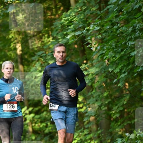 06.10.2024 - Bramfelder Halbmarathon 2024 Dr. Thomas Lammeyer http://msf.ph/oto/7335565 06.10.2024 09:55:55 Laufen 10, 126, 124 meine-sportfotos.de