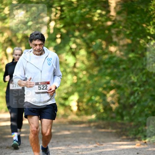 06.10.2024 - Bramfelder Halbmarathon 2024 Dr. Thomas Lammeyer http://msf.ph/oto/7335616 06.10.2024 09:56:45 Laufen 522 meine-sportfotos.de