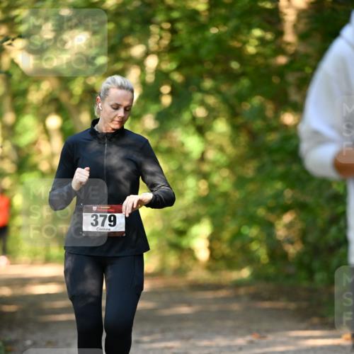 06.10.2024 - Bramfelder Halbmarathon 2024 Dr. Thomas Lammeyer http://msf.ph/oto/7335631 06.10.2024 09:56:48 Laufen 33, 379 meine-sportfotos.de