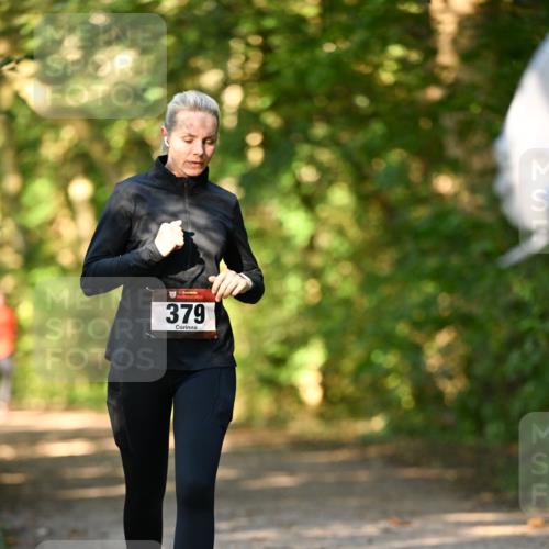 06.10.2024 - Bramfelder Halbmarathon 2024 Dr. Thomas Lammeyer http://msf.ph/oto/7335632 06.10.2024 09:56:49 Laufen 379 meine-sportfotos.de