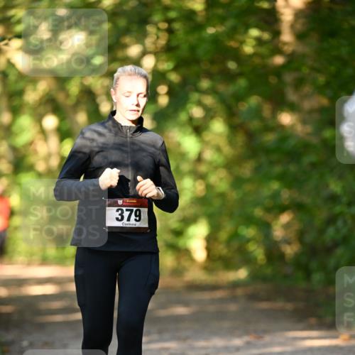 06.10.2024 - Bramfelder Halbmarathon 2024 Dr. Thomas Lammeyer http://msf.ph/oto/7335633 06.10.2024 09:56:49 Laufen 379 meine-sportfotos.de
