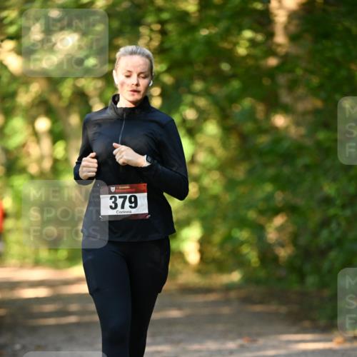 06.10.2024 - Bramfelder Halbmarathon 2024 Dr. Thomas Lammeyer http://msf.ph/oto/7335635 06.10.2024 09:56:49 Laufen 379 meine-sportfotos.de