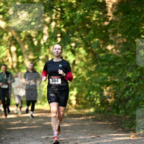06.10.2024 - Bramfelder Halbmarathon 2024 Dr. Thomas Lammeyer http://msf.ph/oto/7335656 06.10.2024 09:57:14 Laufen 364 meine-sportfotos.de
