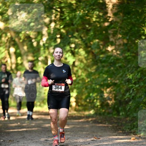 06.10.2024 - Bramfelder Halbmarathon 2024 Dr. Thomas Lammeyer http://msf.ph/oto/7335657 06.10.2024 09:57:14 Laufen 364 meine-sportfotos.de
