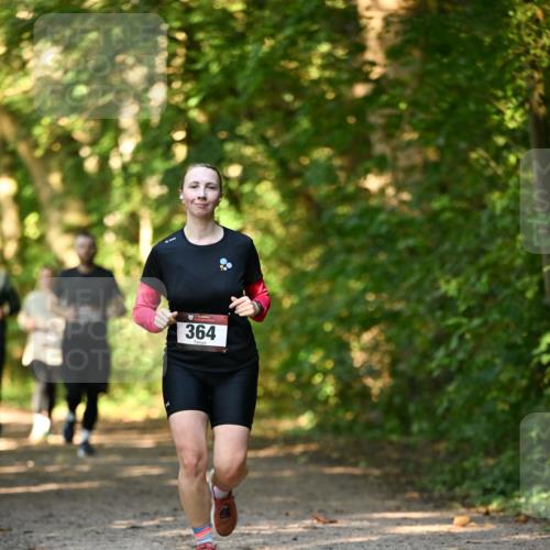 06.10.2024 - Bramfelder Halbmarathon 2024 Dr. Thomas Lammeyer http://msf.ph/oto/7335662 06.10.2024 09:57:15 Laufen 364 meine-sportfotos.de