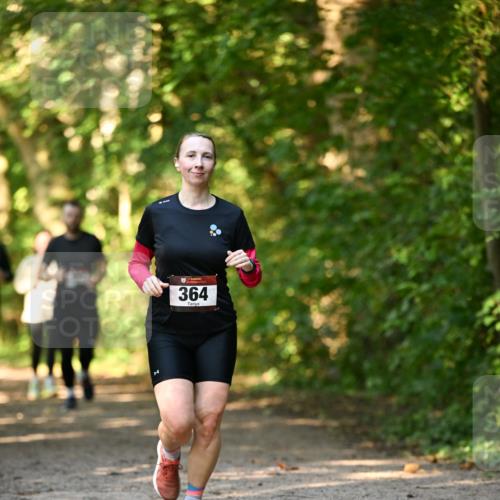 06.10.2024 - Bramfelder Halbmarathon 2024 Dr. Thomas Lammeyer http://msf.ph/oto/7335665 06.10.2024 09:57:15 Laufen 364 meine-sportfotos.de