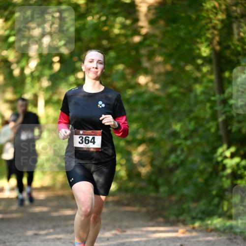 06.10.2024 - Bramfelder Halbmarathon 2024 Dr. Thomas Lammeyer http://msf.ph/oto/7335671 06.10.2024 09:57:16 Laufen 364 meine-sportfotos.de