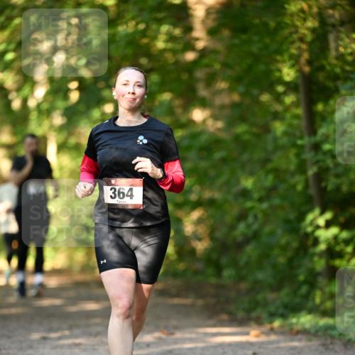 06.10.2024 - Bramfelder Halbmarathon 2024 Dr. Thomas Lammeyer http://msf.ph/oto/7335672 06.10.2024 09:57:16 Laufen 364 meine-sportfotos.de