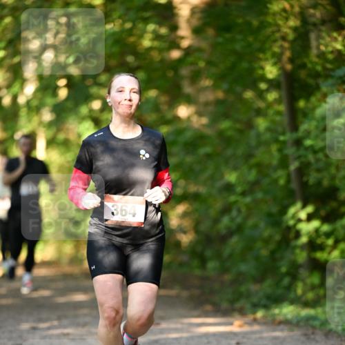 06.10.2024 - Bramfelder Halbmarathon 2024 Dr. Thomas Lammeyer http://msf.ph/oto/7335673 06.10.2024 09:57:17 Laufen 364 meine-sportfotos.de