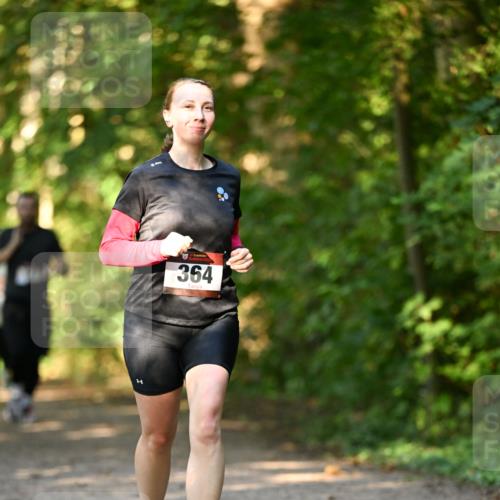 06.10.2024 - Bramfelder Halbmarathon 2024 Dr. Thomas Lammeyer http://msf.ph/oto/7335674 06.10.2024 09:57:17 Laufen 364 meine-sportfotos.de