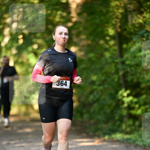 06.10.2024 - Bramfelder Halbmarathon 2024 Dr. Thomas Lammeyer http://msf.ph/oto/7335675 06.10.2024 09:57:17 Laufen 364 meine-sportfotos.de
