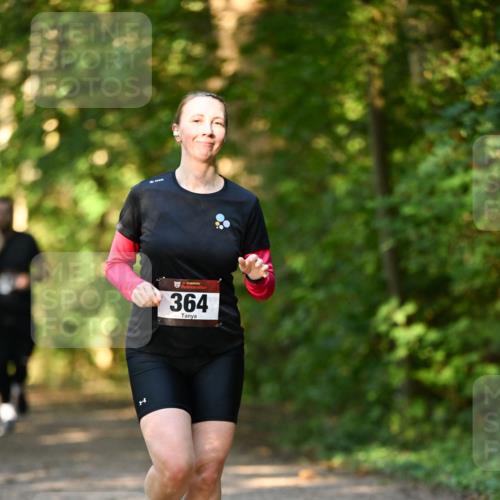 06.10.2024 - Bramfelder Halbmarathon 2024 Dr. Thomas Lammeyer http://msf.ph/oto/7335676 06.10.2024 09:57:17 Laufen 33, 364 meine-sportfotos.de