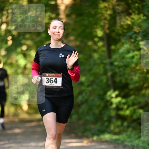 06.10.2024 - Bramfelder Halbmarathon 2024 Dr. Thomas Lammeyer http://msf.ph/oto/7335677 06.10.2024 09:57:17 Laufen 364 meine-sportfotos.de