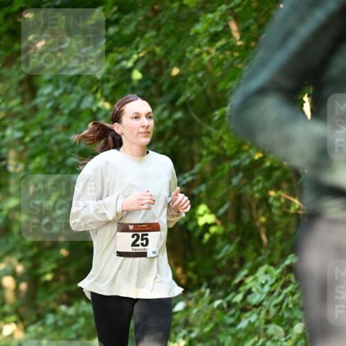 06.10.2024 - Bramfelder Halbmarathon 2024 Dr. Thomas Lammeyer http://msf.ph/oto/7335719 06.10.2024 09:57:28 Laufen 33, 25, 86 meine-sportfotos.de