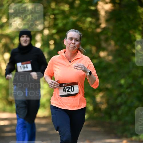 06.10.2024 - Bramfelder Halbmarathon 2024 Dr. Thomas Lammeyer http://msf.ph/oto/7335750 06.10.2024 09:57:40 Laufen 194, 420 meine-sportfotos.de