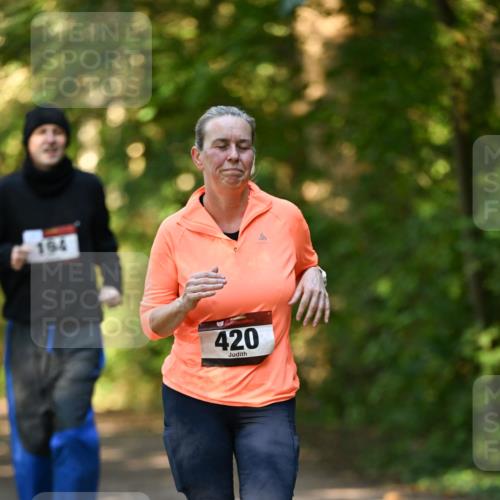 06.10.2024 - Bramfelder Halbmarathon 2024 Dr. Thomas Lammeyer http://msf.ph/oto/7335752 06.10.2024 09:57:40 Laufen 194, 420 meine-sportfotos.de