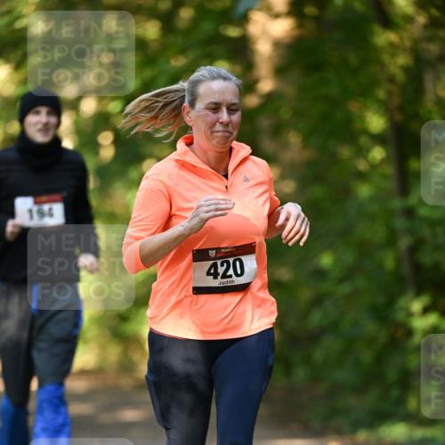 06.10.2024 - Bramfelder Halbmarathon 2024 Dr. Thomas Lammeyer http://msf.ph/oto/7335753 06.10.2024 09:57:40 Laufen 194, 420 meine-sportfotos.de
