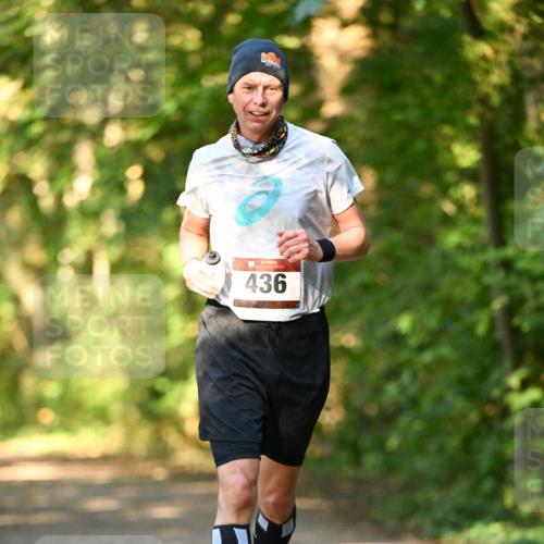 06.10.2024 - Bramfelder Halbmarathon 2024 Dr. Thomas Lammeyer http://msf.ph/oto/7335776 06.10.2024 09:58:11 Laufen 9 meine-sportfotos.de