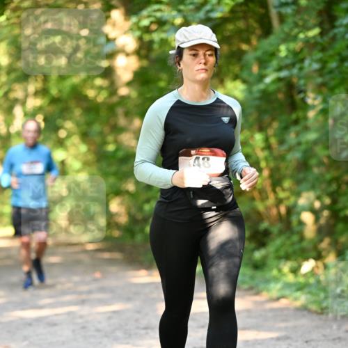 06.10.2024 - Bramfelder Halbmarathon 2024 Dr. Thomas Lammeyer http://msf.ph/oto/7335789 06.10.2024 09:59:04 Laufen 48 meine-sportfotos.de
