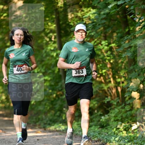 06.10.2024 - Bramfelder Halbmarathon 2024 Dr. Thomas Lammeyer http://msf.ph/oto/7335819 06.10.2024 09:59:29 Laufen 403, 363 meine-sportfotos.de