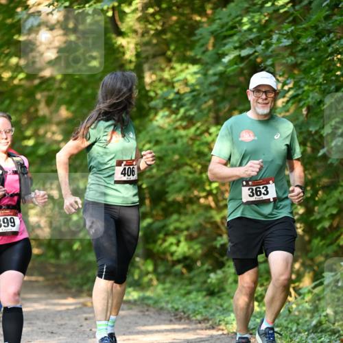 06.10.2024 - Bramfelder Halbmarathon 2024 Dr. Thomas Lammeyer http://msf.ph/oto/7335825 06.10.2024 09:59:30 Laufen 399, 406, 363 meine-sportfotos.de