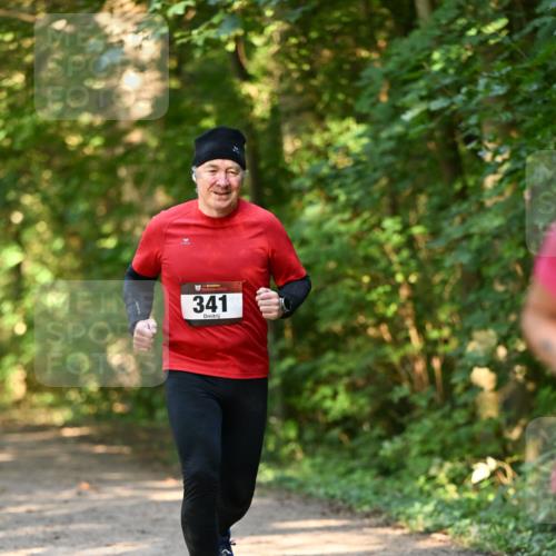 06.10.2024 - Bramfelder Halbmarathon 2024 Dr. Thomas Lammeyer http://msf.ph/oto/7335835 06.10.2024 09:59:33 Laufen 341 meine-sportfotos.de