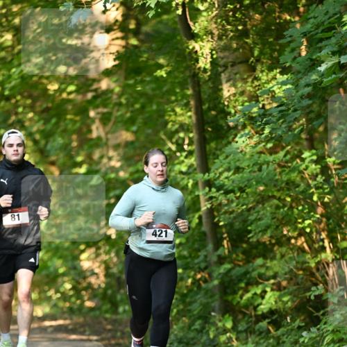 06.10.2024 - Bramfelder Halbmarathon 2024 Dr. Thomas Lammeyer http://msf.ph/oto/7335851 06.10.2024 09:59:59 Laufen 81, 421 meine-sportfotos.de
