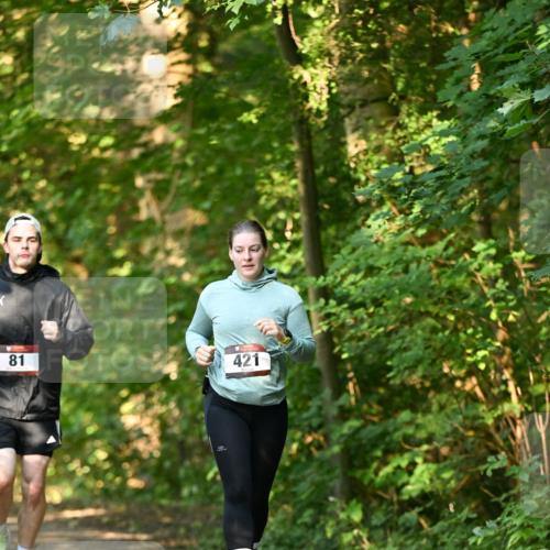06.10.2024 - Bramfelder Halbmarathon 2024 Dr. Thomas Lammeyer http://msf.ph/oto/7335853 06.10.2024 10:00:00 Laufen 81, 421 meine-sportfotos.de