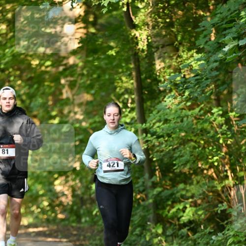 06.10.2024 - Bramfelder Halbmarathon 2024 Dr. Thomas Lammeyer http://msf.ph/oto/7335854 06.10.2024 10:00:00 Laufen 81, 421 meine-sportfotos.de