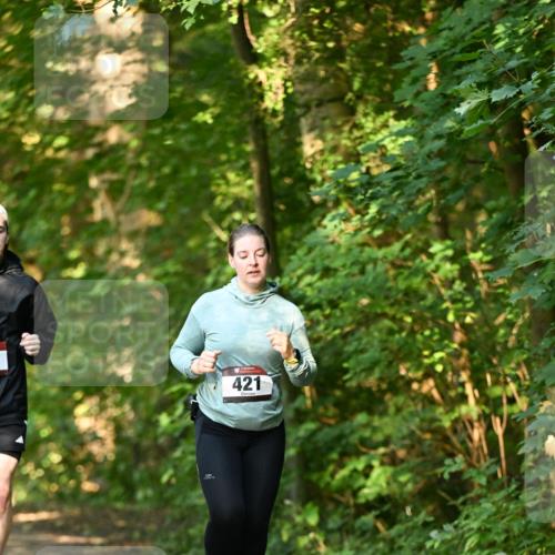 06.10.2024 - Bramfelder Halbmarathon 2024 Dr. Thomas Lammeyer http://msf.ph/oto/7335858 06.10.2024 10:00:00 Laufen 421 meine-sportfotos.de