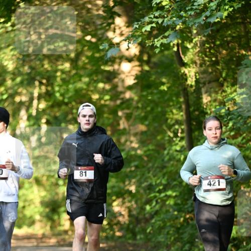 06.10.2024 - Bramfelder Halbmarathon 2024 Dr. Thomas Lammeyer http://msf.ph/oto/7335860 06.10.2024 10:00:01 Laufen 0, 81, 421 meine-sportfotos.de