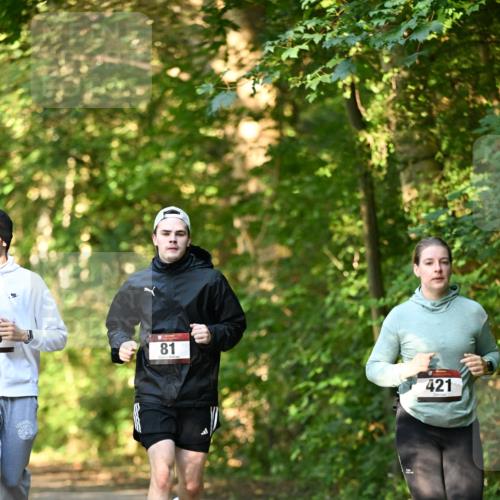 06.10.2024 - Bramfelder Halbmarathon 2024 Dr. Thomas Lammeyer http://msf.ph/oto/7335861 06.10.2024 10:00:01 Laufen 81, 421 meine-sportfotos.de