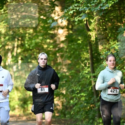 06.10.2024 - Bramfelder Halbmarathon 2024 Dr. Thomas Lammeyer http://msf.ph/oto/7335862 06.10.2024 10:00:02 Laufen 81, 421 meine-sportfotos.de