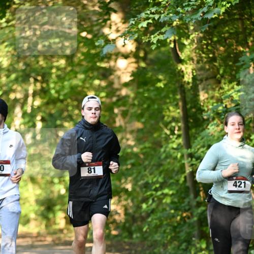 06.10.2024 - Bramfelder Halbmarathon 2024 Dr. Thomas Lammeyer http://msf.ph/oto/7335863 06.10.2024 10:00:02 Laufen 0, 81, 421 meine-sportfotos.de