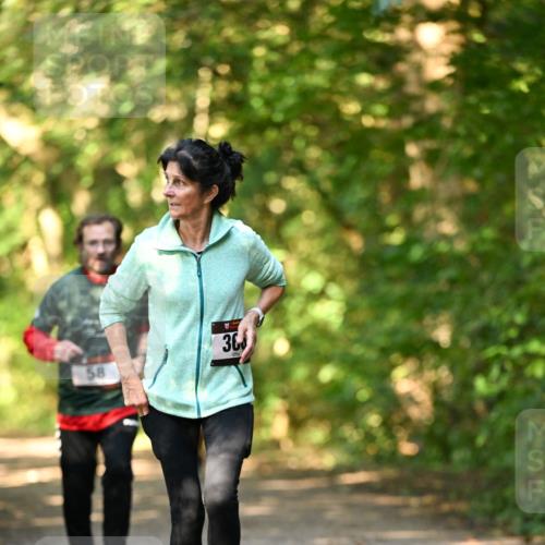 06.10.2024 - Bramfelder Halbmarathon 2024 Dr. Thomas Lammeyer http://msf.ph/oto/7335881 06.10.2024 10:00:34 Laufen 36, 58 meine-sportfotos.de