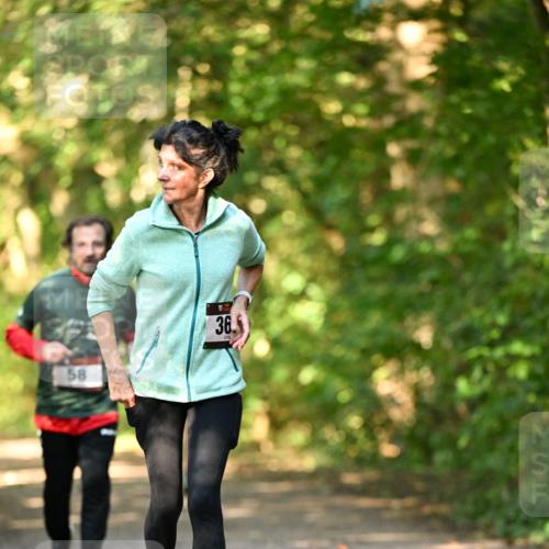 06.10.2024 - Bramfelder Halbmarathon 2024 Dr. Thomas Lammeyer http://msf.ph/oto/7335882 06.10.2024 10:00:34 Laufen 58, 36 meine-sportfotos.de