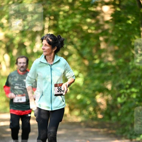 06.10.2024 - Bramfelder Halbmarathon 2024 Dr. Thomas Lammeyer http://msf.ph/oto/7335883 06.10.2024 10:00:34 Laufen 36, 58 meine-sportfotos.de
