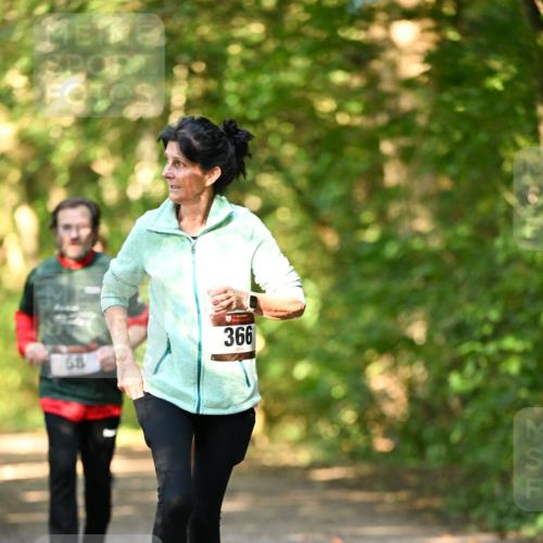 06.10.2024 - Bramfelder Halbmarathon 2024 Dr. Thomas Lammeyer http://msf.ph/oto/7335884 06.10.2024 10:00:34 Laufen 366, 58 meine-sportfotos.de
