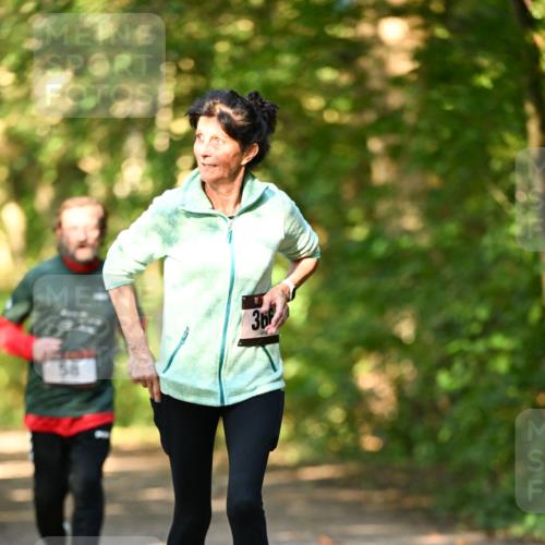 06.10.2024 - Bramfelder Halbmarathon 2024 Dr. Thomas Lammeyer http://msf.ph/oto/7335886 06.10.2024 10:00:35 Laufen 58, 36 meine-sportfotos.de