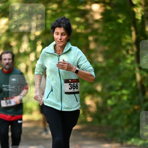 06.10.2024 - Bramfelder Halbmarathon 2024 Dr. Thomas Lammeyer http://msf.ph/oto/7335889 06.10.2024 10:00:35 Laufen 6, 58, 366 meine-sportfotos.de