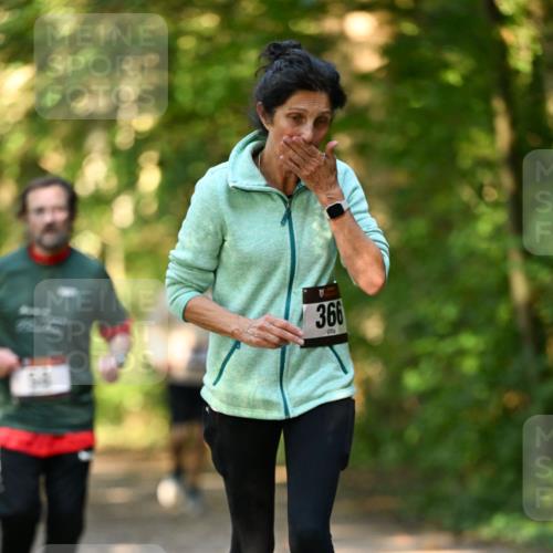06.10.2024 - Bramfelder Halbmarathon 2024 Dr. Thomas Lammeyer http://msf.ph/oto/7335892 06.10.2024 10:00:36 Laufen 366 meine-sportfotos.de