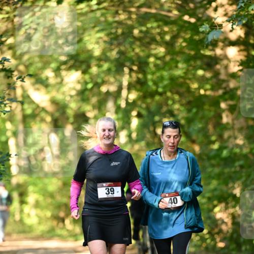 06.10.2024 - Bramfelder Halbmarathon 2024 Dr. Thomas Lammeyer http://msf.ph/oto/7335946 06.10.2024 10:00:53 Laufen 39, 65, 40 meine-sportfotos.de