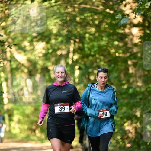 06.10.2024 - Bramfelder Halbmarathon 2024 Dr. Thomas Lammeyer http://msf.ph/oto/7335947 06.10.2024 10:00:53 Laufen 39, 2, 40 meine-sportfotos.de
