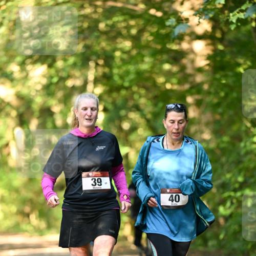 06.10.2024 - Bramfelder Halbmarathon 2024 Dr. Thomas Lammeyer http://msf.ph/oto/7335950 06.10.2024 10:00:54 Laufen 399, 33, 40 meine-sportfotos.de