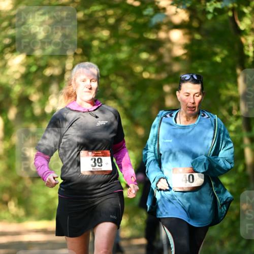 06.10.2024 - Bramfelder Halbmarathon 2024 Dr. Thomas Lammeyer http://msf.ph/oto/7335956 06.10.2024 10:00:55 Laufen 2017, 39, 59, 40, 73 meine-sportfotos.de