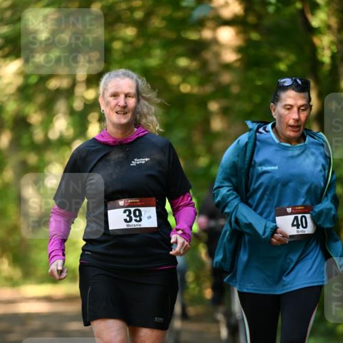 06.10.2024 - Bramfelder Halbmarathon 2024 Dr. Thomas Lammeyer http://msf.ph/oto/7335960 06.10.2024 10:00:55 Laufen 33, 39, 59, 40 meine-sportfotos.de