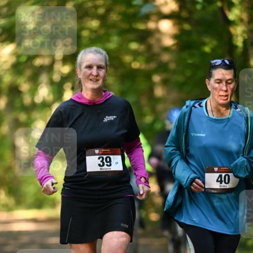 06.10.2024 - Bramfelder Halbmarathon 2024 Dr. Thomas Lammeyer http://msf.ph/oto/7335961 06.10.2024 10:00:55 Laufen 2017, 39, 59, 40 meine-sportfotos.de