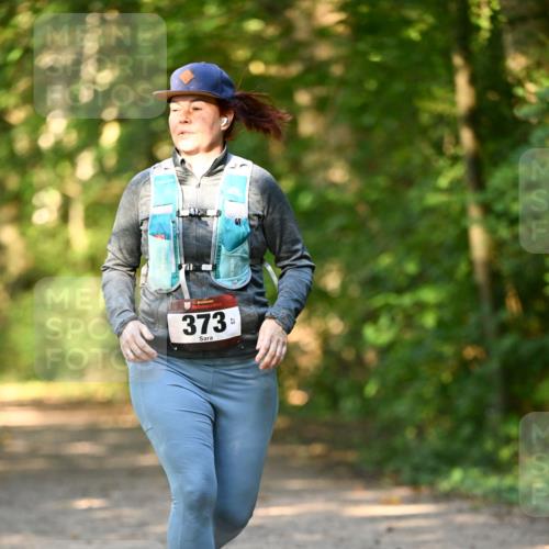 06.10.2024 - Bramfelder Halbmarathon 2024 Dr. Thomas Lammeyer http://msf.ph/oto/7335974 06.10.2024 10:01:13 Laufen 33, 373, 57 meine-sportfotos.de