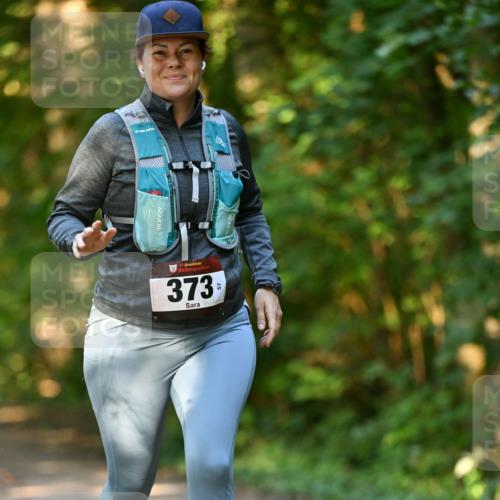 06.10.2024 - Bramfelder Halbmarathon 2024 Dr. Thomas Lammeyer http://msf.ph/oto/7335981 06.10.2024 10:01:14 Laufen 33, 373, 44 meine-sportfotos.de